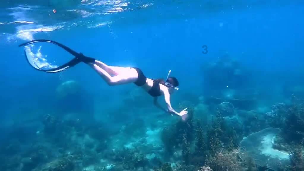 萌新水果连连看
